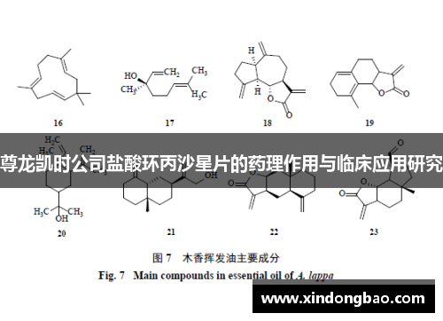 尊龙凯时公司盐酸环丙沙星片的药理作用与临床应用研究